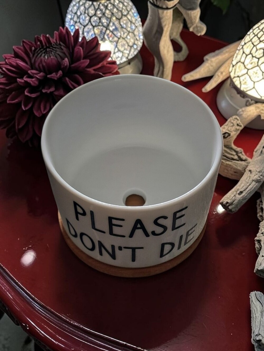 Please Dont Die Ceramic Planter with Bamboo Tray - Picture 4 of 4